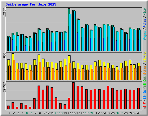 Daily usage for July 2025