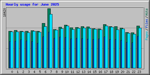 Hourly usage for June 2025