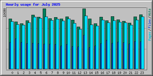 Hourly usage for July 2025