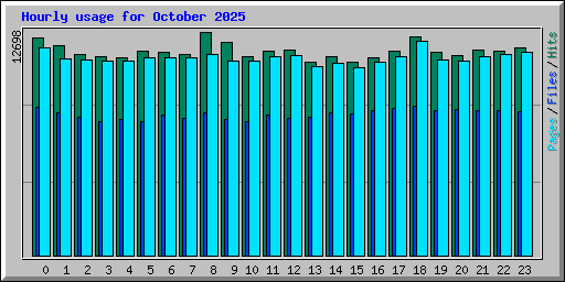 Hourly usage for October 2025