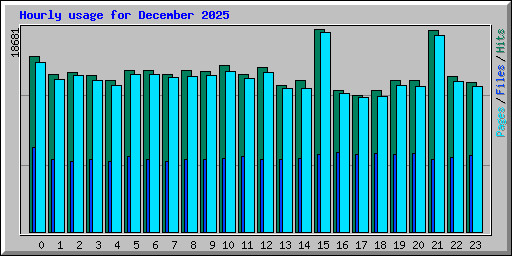Hourly usage for December 2025