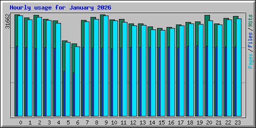 Hourly usage for January 2026