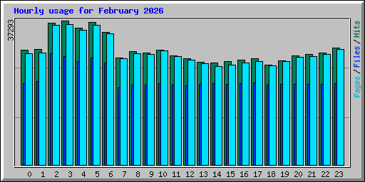 Hourly usage for February 2026